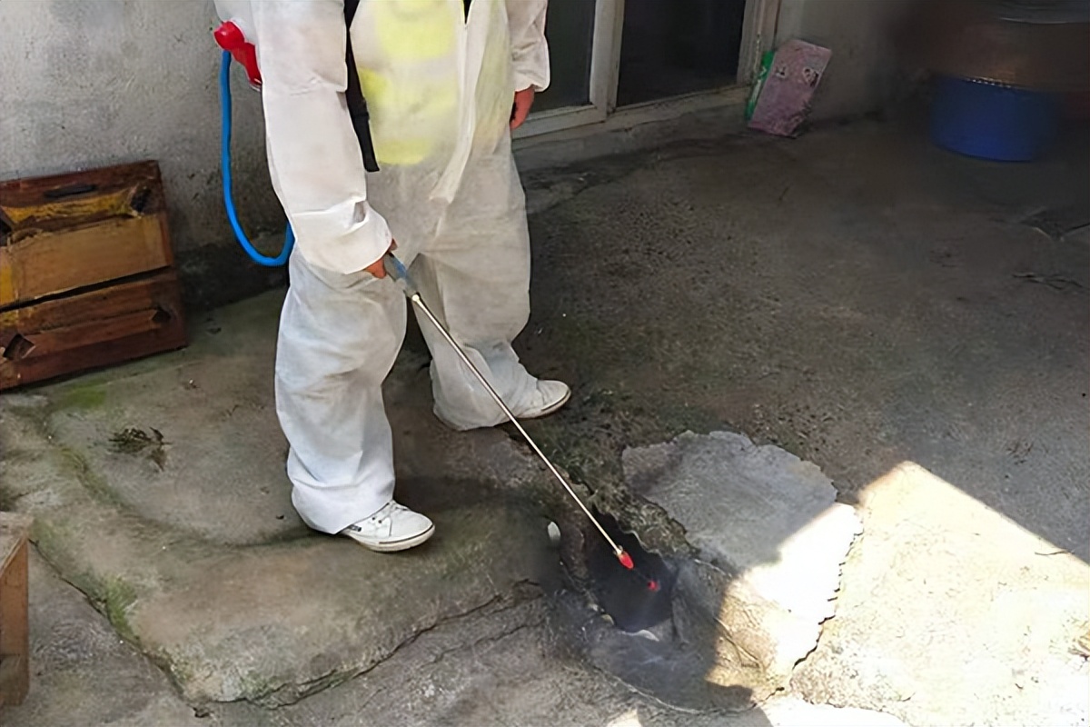 趣味小生活灭老鼠办法_消灭小老鼠_消灭老鼠小游戏
