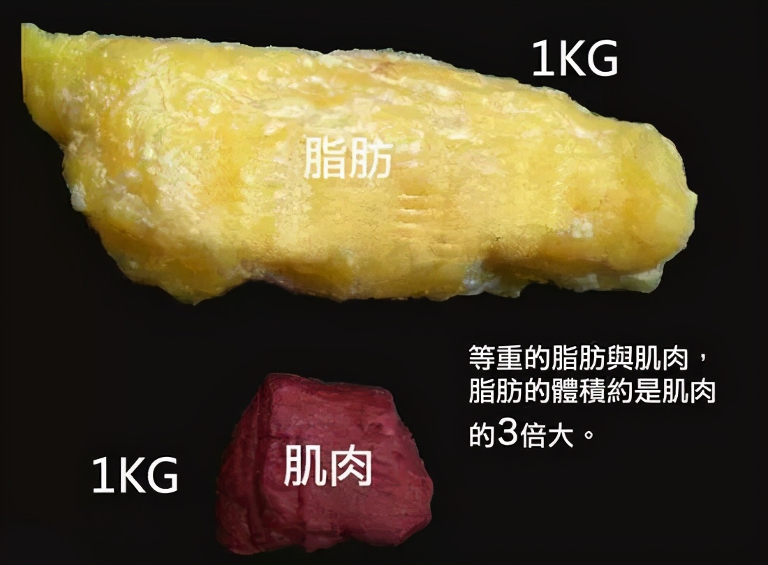舞蹈有氧还是无氧_有氧舞蹈运动_舞蹈有氧运动