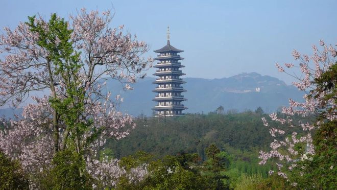 宜兴马拉松_宜兴马拉松2020报名_宜兴十月马拉松